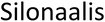 Silonaalis
